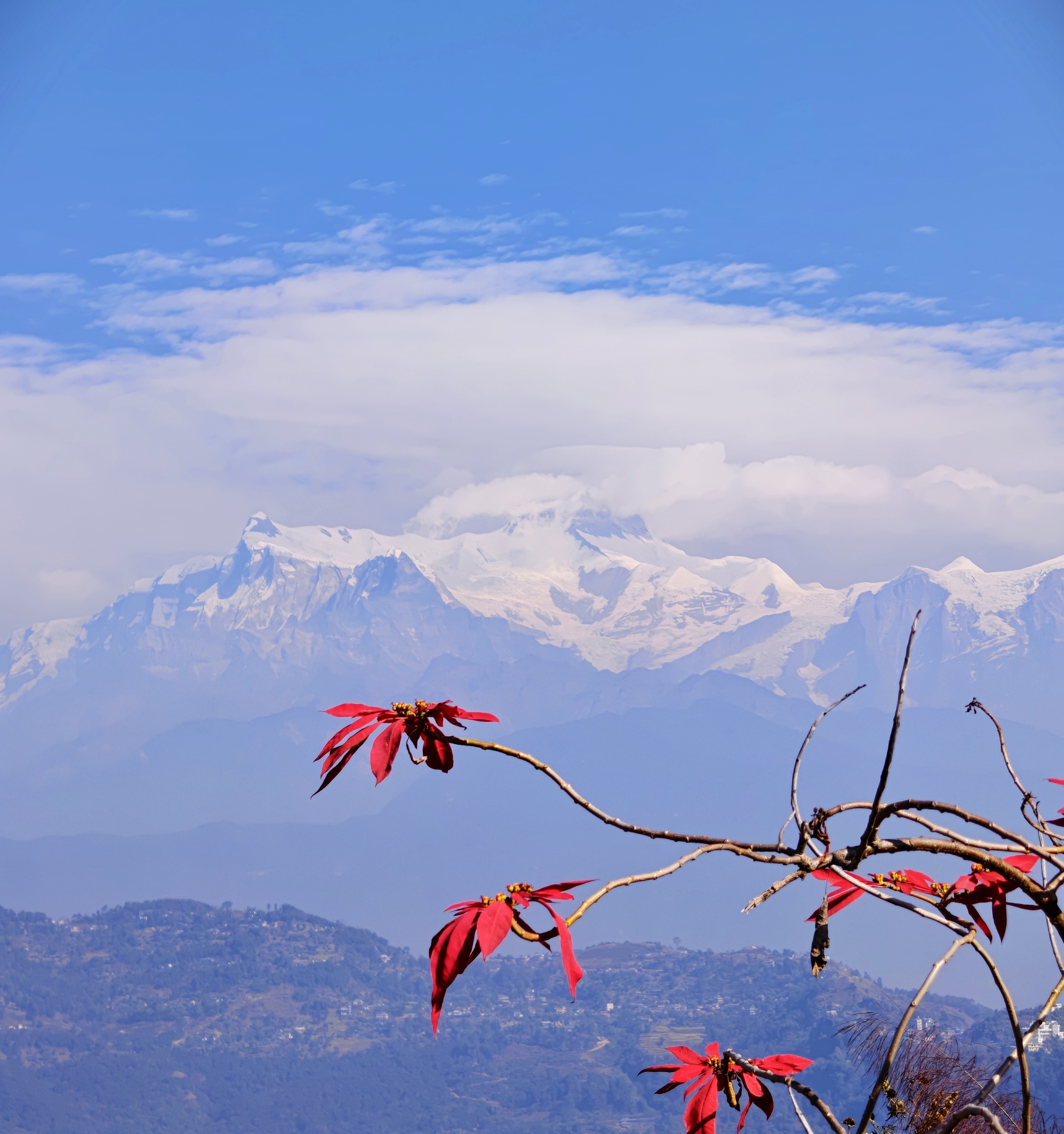 Annapurna Base Camp (ABC) Trek β 10 Days Full Itinerary - Image 1