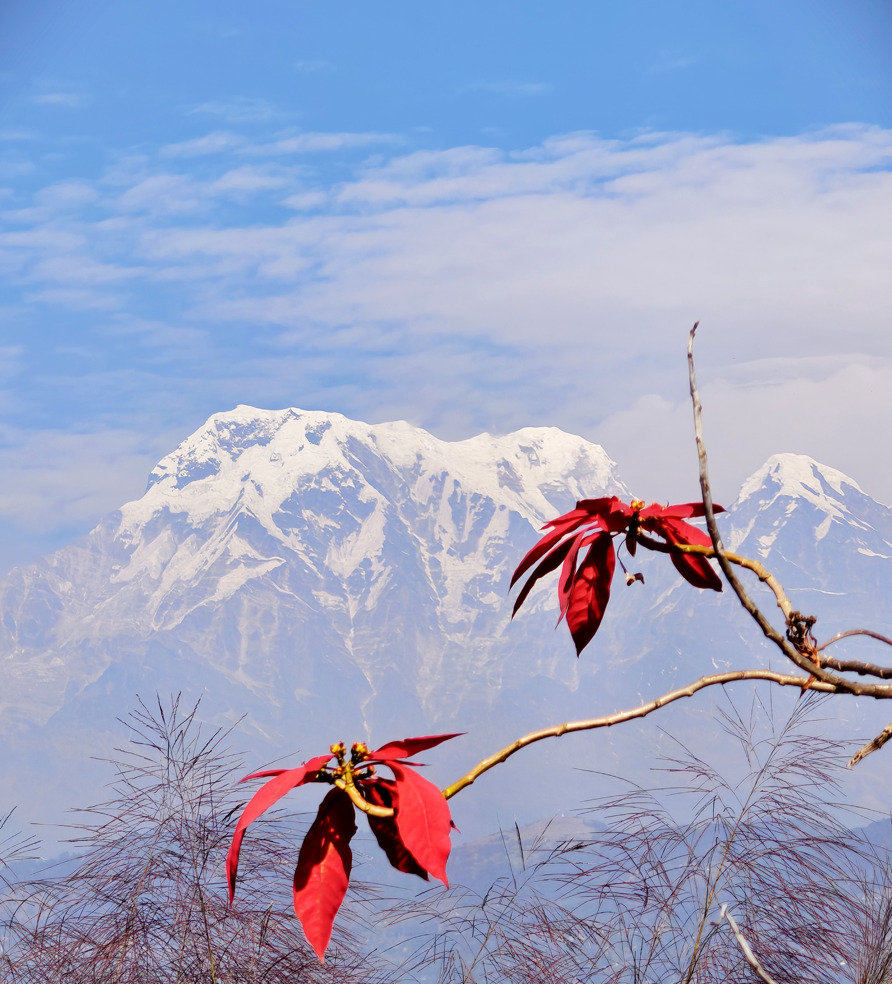 Premium Wilderness & Himalayan Comfort - Image 1
