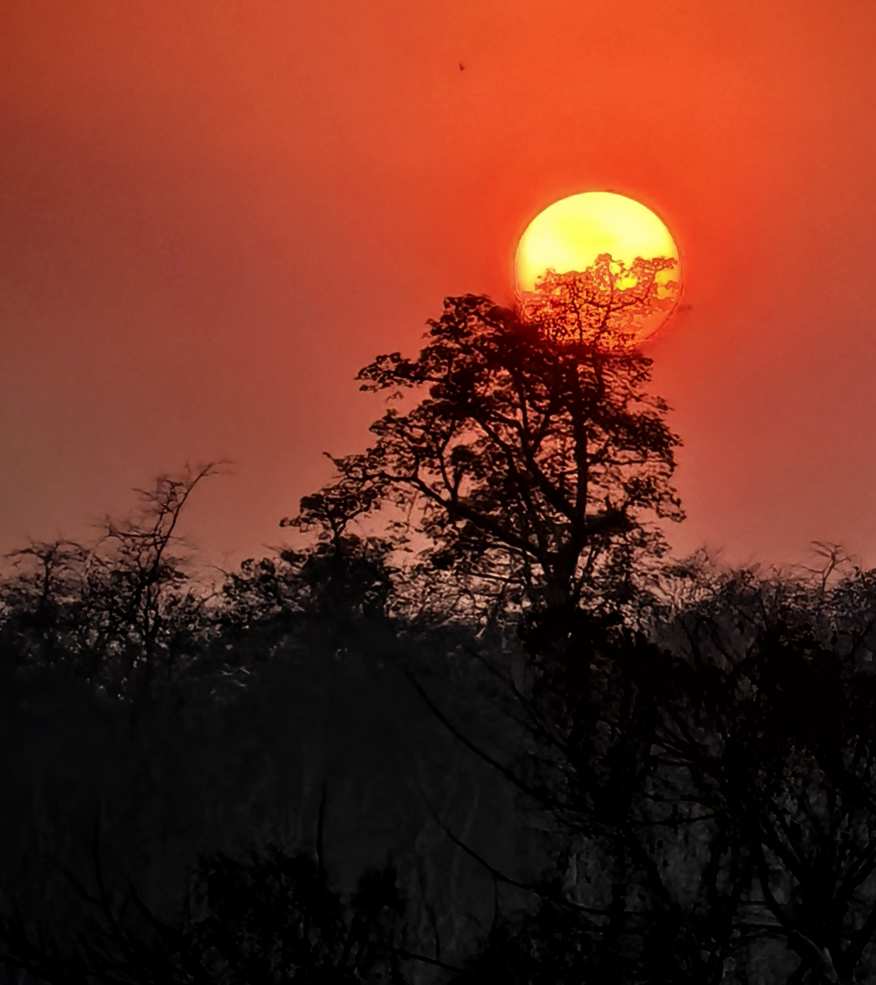 Nepal travel gallery image 45